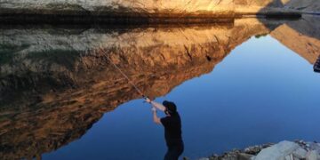 unutkanlık karşıtı aktiviteler